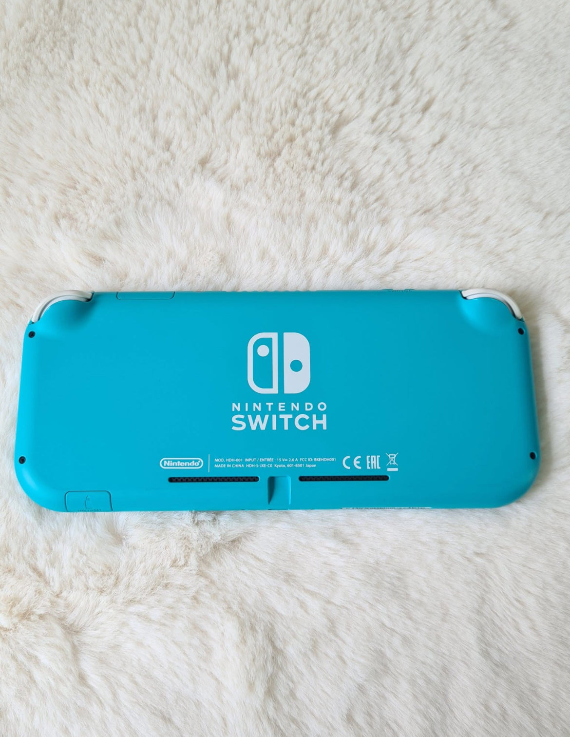 Nintendo switch lite